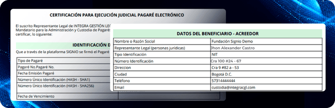 ejecucion judicial